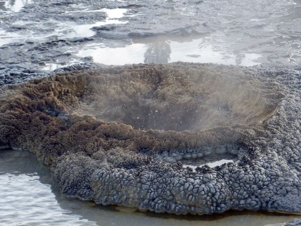 Yellowstone Old faithfull et ses environs (32).JPG